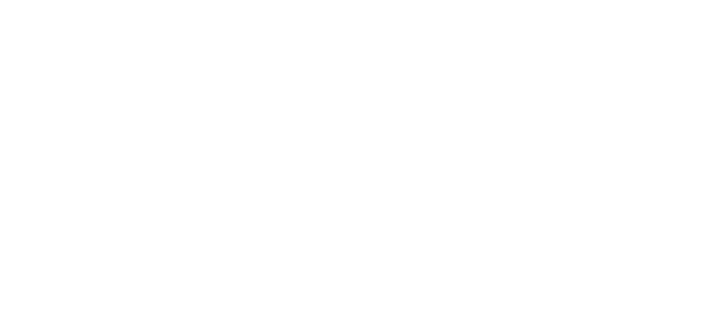Stripe Logo